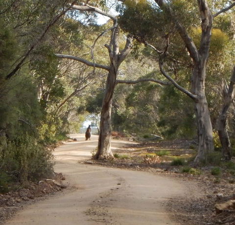 Kangaroo Island Wilderness Retreat - Accommodation Brunswick Heads 22