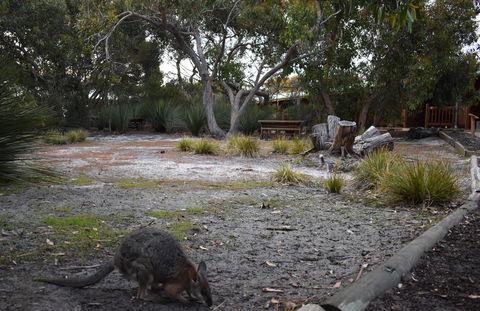 Kangaroo Island Wilderness Retreat - Accommodation Brunswick Heads 1
