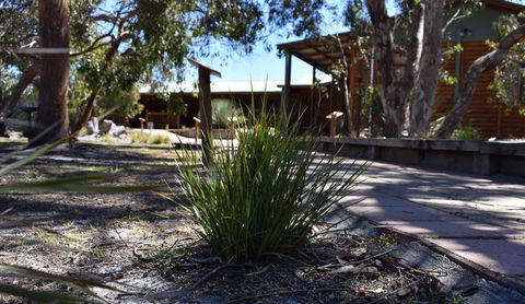 Kangaroo Island Wilderness Retreat - Accommodation Brunswick Heads 21