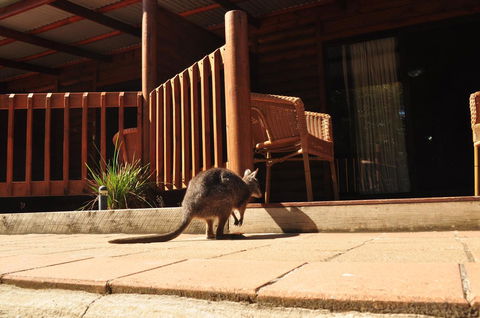 Kangaroo Island Wilderness Retreat - Accommodation Brunswick Heads 9