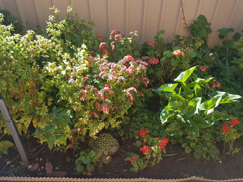 Tanunda\'s Magpie House - Accommodation Brunswick Heads 24