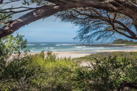 BIG4 Tasman Holiday Parks - Racecourse Beach - Accommodation Brunswick Heads 7