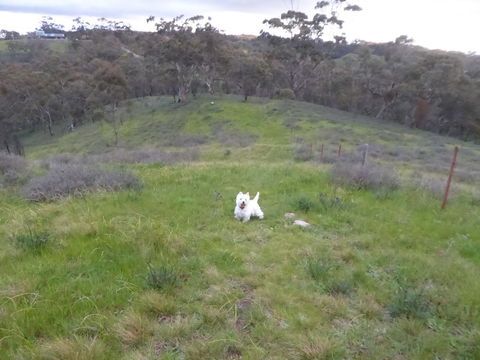 Molly's Chase - Accommodation Brunswick Heads 22