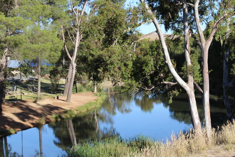 Hillside Cottage - Accommodation Brunswick Heads 11