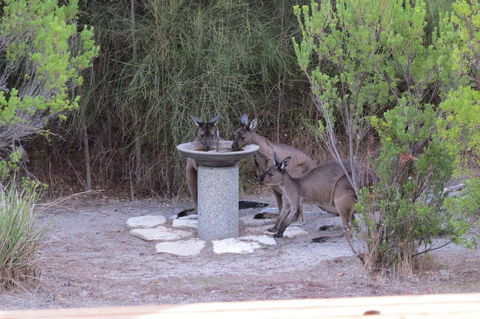 Kestrel Downs - Accommodation Brunswick Heads 23