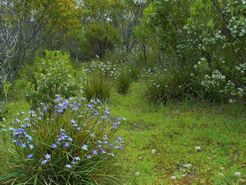 Kestrel Downs - Accommodation Brunswick Heads 32
