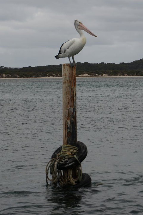 Kohinoor Getaway - Accommodation Brunswick Heads 13