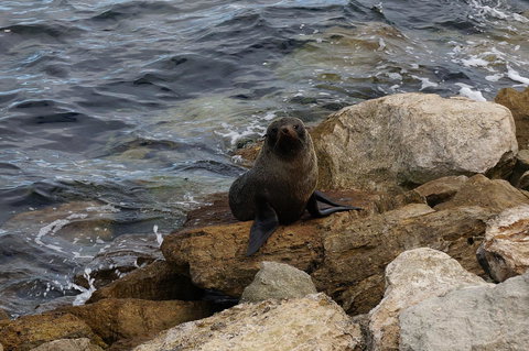 Kohinoor Getaway - Accommodation Brunswick Heads 12