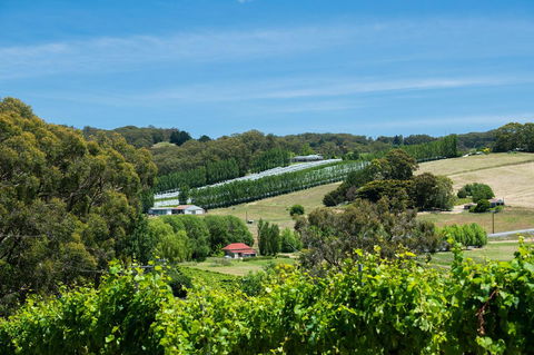 The Other House - Accommodation Brunswick Heads 3