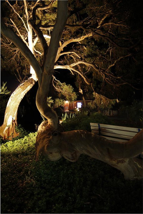 Cape Jervis Holiday Units - Accommodation Brunswick Heads 14