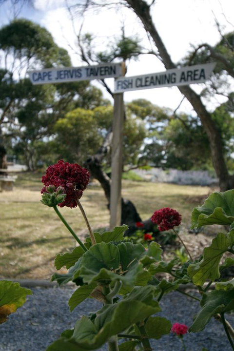 Cape Jervis Holiday Units - Accommodation Brunswick Heads 13