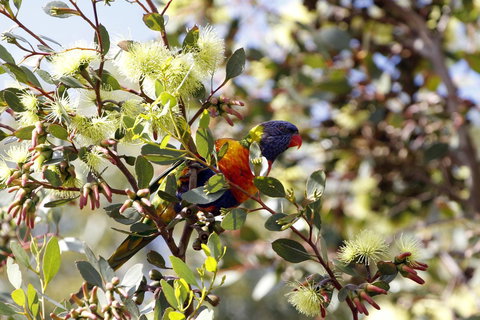 Cape Jervis Holiday Units - Accommodation Brunswick Heads 11