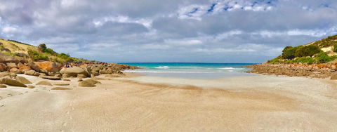 Sea Dragon Kangaroo Island - Accommodation Brunswick Heads 16
