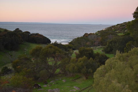 Sea Dragon Kangaroo Island - Accommodation Brunswick Heads 30