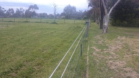 Gaerwood B&B - Accommodation Brunswick Heads 17