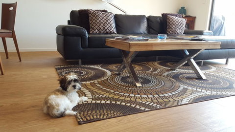 Seagrass Villas Normanville - Accommodation Brunswick Heads 21