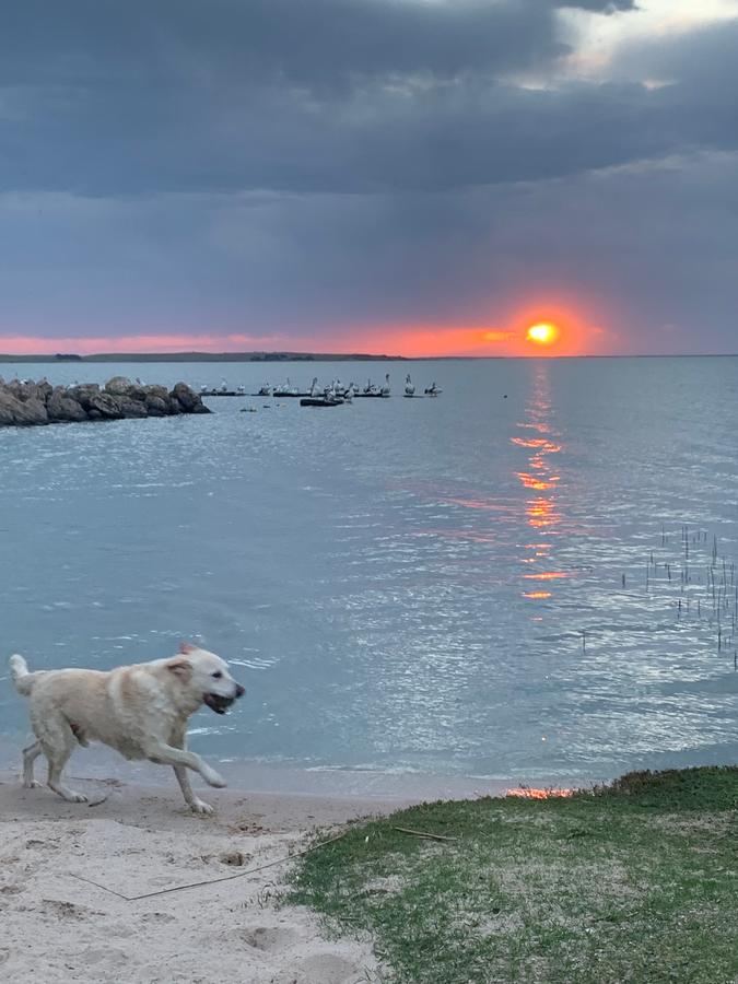 Meningie SA Accommodation Brunswick Heads