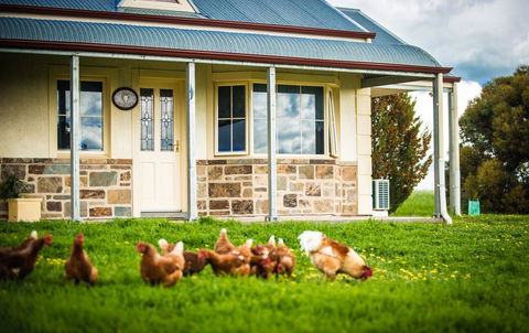 Barossa Vineyard Cottages - Accommodation Brunswick Heads 40