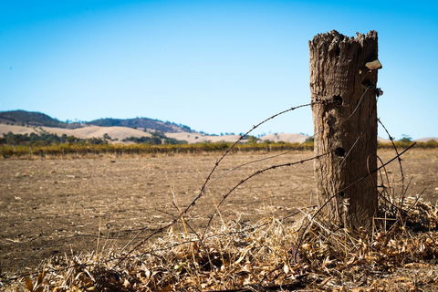 Barossa Vineyard Cottages - Accommodation Brunswick Heads 5