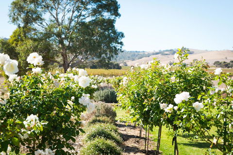 Barossa Vineyard Cottages - Accommodation Brunswick Heads 1