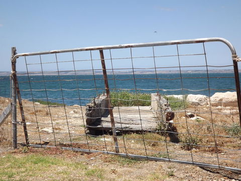 Home On Torrens - Accommodation Brunswick Heads 15