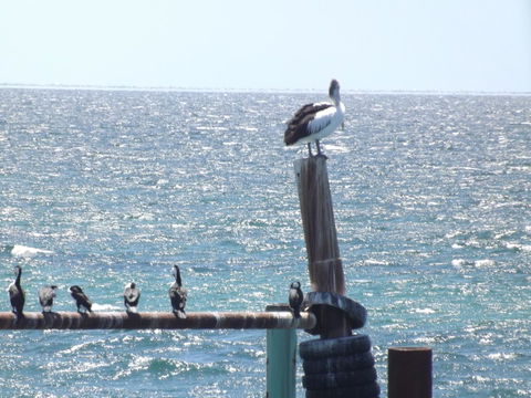 Home On Torrens - Accommodation Brunswick Heads 10