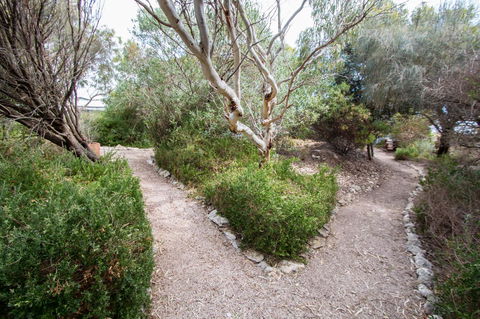 Coorong Waterfront Retreat - Accommodation Brunswick Heads 19