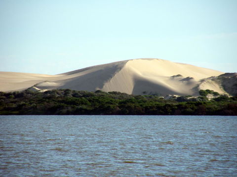 Coorong Waterfront Retreat - Accommodation Brunswick Heads 27