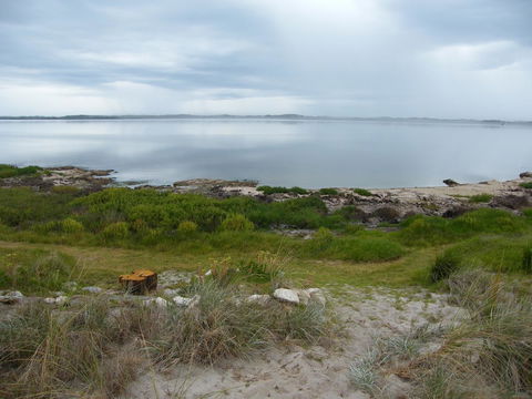 Coorong Waterfront Retreat - Accommodation Brunswick Heads 28