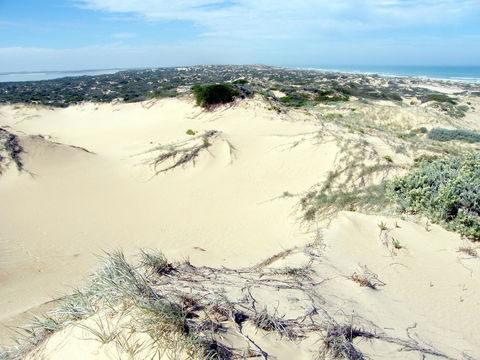 Coorong Waterfront Retreat - Accommodation Brunswick Heads 32
