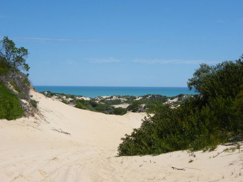 Coorong Waterfront Retreat - Accommodation Brunswick Heads 23