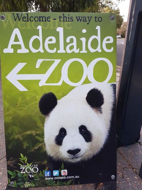 Adelaide Style Accommodation-Close To City-North Adelaide-3 Bdrm- FREE Parking - Accommodation Brunswick Heads 35