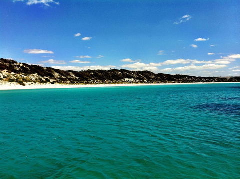 A Dune Escape - Accommodation Brunswick Heads 15