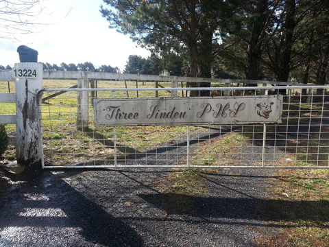 Three Linden - Accommodation Brunswick Heads 6
