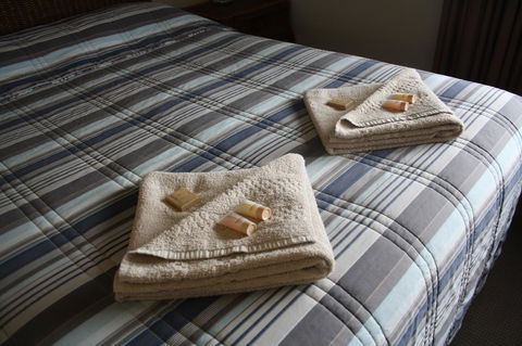 Isis Motel Scone - Accommodation Brunswick Heads 3