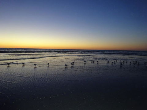 Selene Holiday Apartment @West Beach - Accommodation Brunswick Heads 6