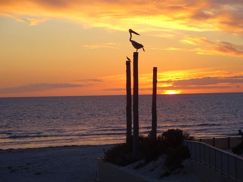 Selene Holiday Apartment @West Beach - Accommodation Brunswick Heads 2