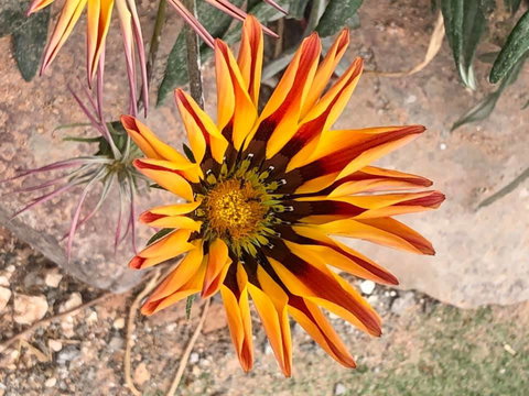 Aussie Opal Diggers Outback Retreat-Undergound - Accommodation Brunswick Heads 26