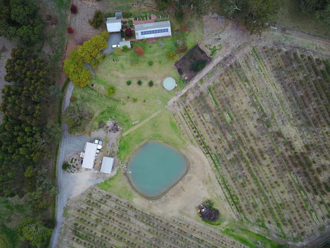STUDIO ECHUNGA Adelaide Hills - Accommodation Brunswick Heads 22