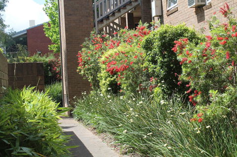 Adelaide DressCircle Apartments - Archer Street - Accommodation Brunswick Heads 18