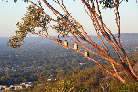 Kingsview Belair, Apartment Grand Views Of Adelaide - Accommodation Brunswick Heads 1