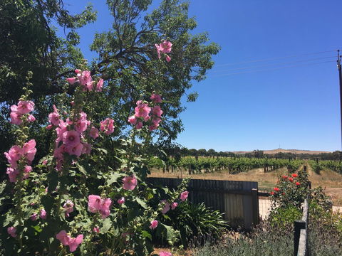 Amy\'s House Bed & Breakfast - Accommodation Brunswick Heads 29