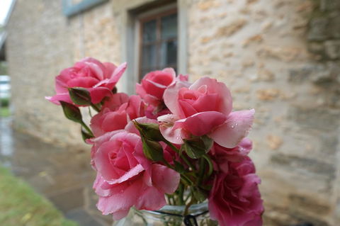 Amy\'s House Bed & Breakfast - Accommodation Brunswick Heads 30