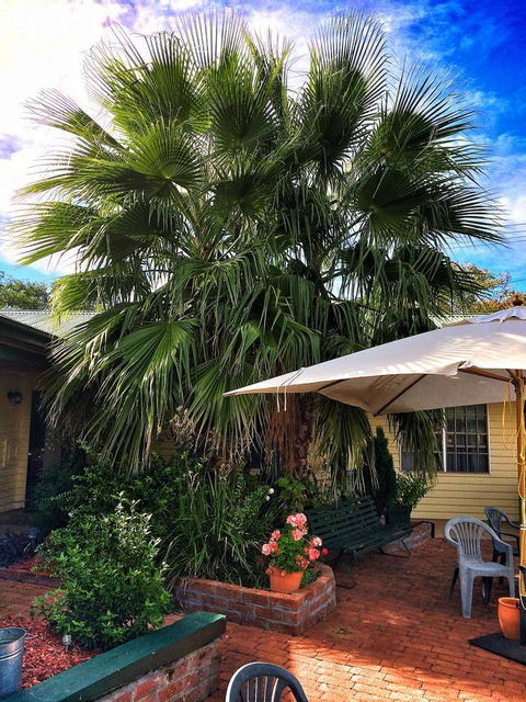 Ten Dollar Town Motel - Accommodation Brunswick Heads 17