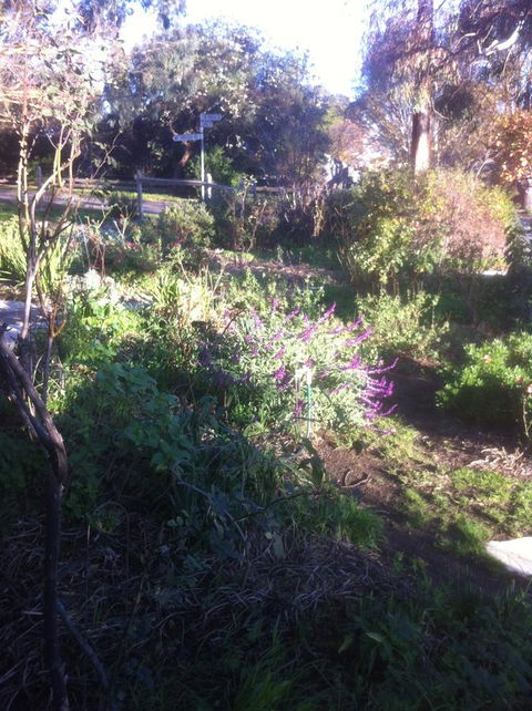 Hilltop Too - Accommodation Brunswick Heads 12