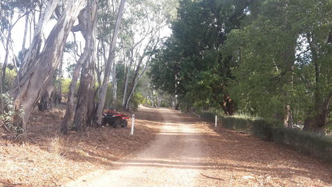 Taralee Orchards - Accommodation Brunswick Heads 4
