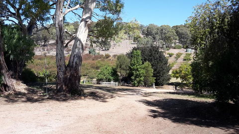 Taralee Orchards - Accommodation Brunswick Heads 3
