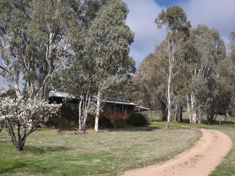 Taralee Orchards - Accommodation Brunswick Heads 9