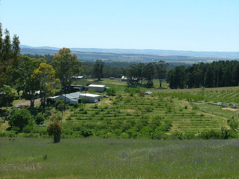 Taralee Orchards - Accommodation Brunswick Heads 0