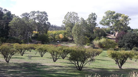Taralee Orchards - Accommodation Brunswick Heads 1